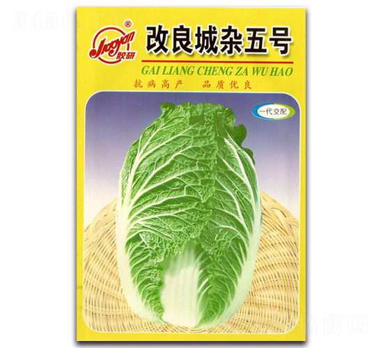 �������s��̖-�ﲥ�ײ˷N��-�z��