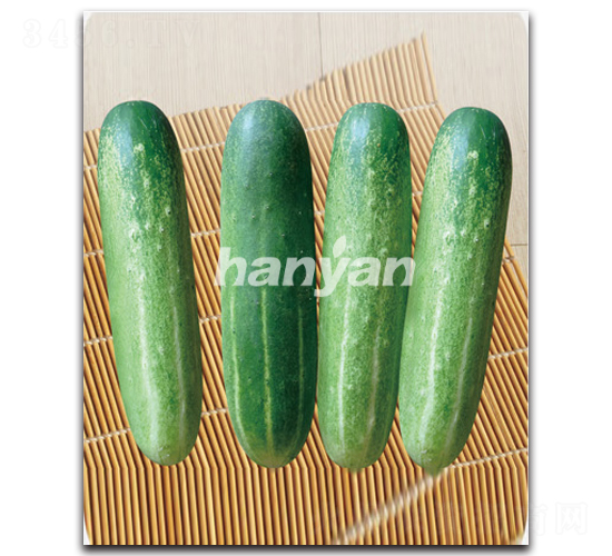 �h����̖-�S�ϷN��-�h��