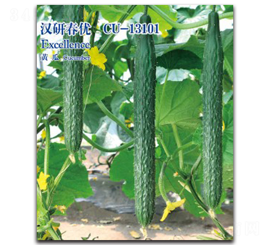 �h�д���-�S�ϷN��-�h��