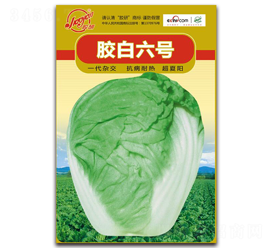 �z����̖-�Ĳ��ײ˷N��-�z��