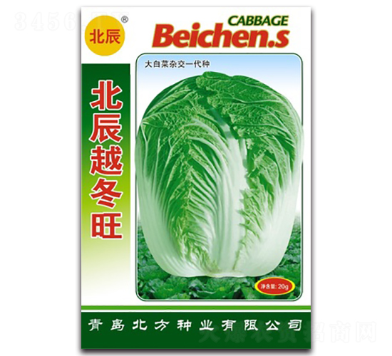 ����Խ����-��ײ˷N��-�����N�I(y��)