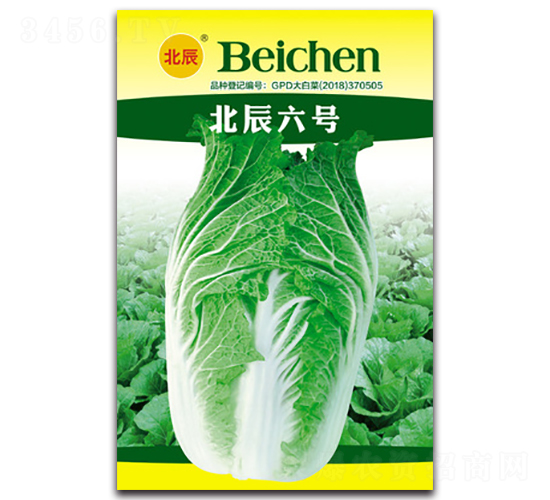 ������̖-��ײ˷N��-�����N�I