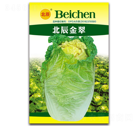 北辰金翠-大白菜種子-北方種業(yè)
