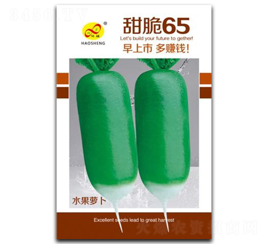 甜脆65-蘿卜種子-昊晟種業(yè)