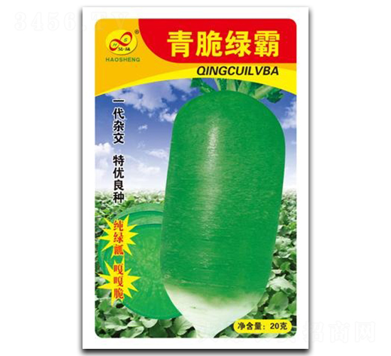 ���G��-�}���N��-��ɷN�I