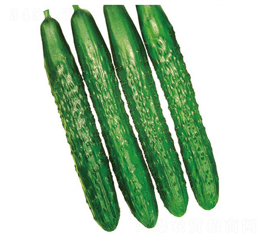 ��������-�S�ϷN��-�����r�I