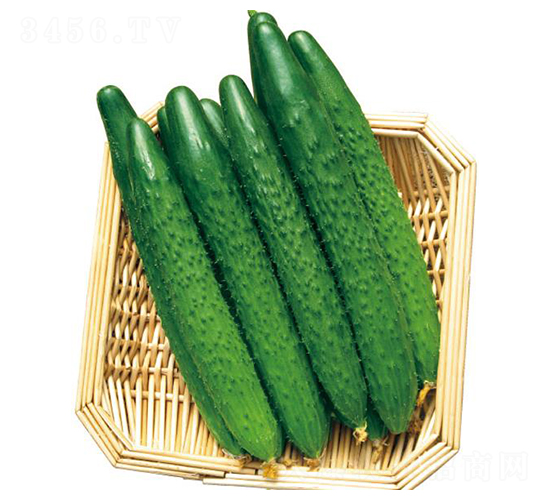 �G��25-�S�ϷN��-�����r�I