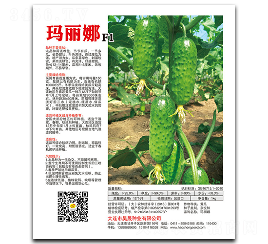 瑪麗娜F1-黃瓜種子-昊晟種業