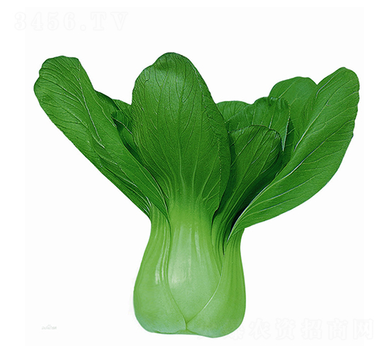 ��N�A��-�๣�˷N��-�A�߷N�I