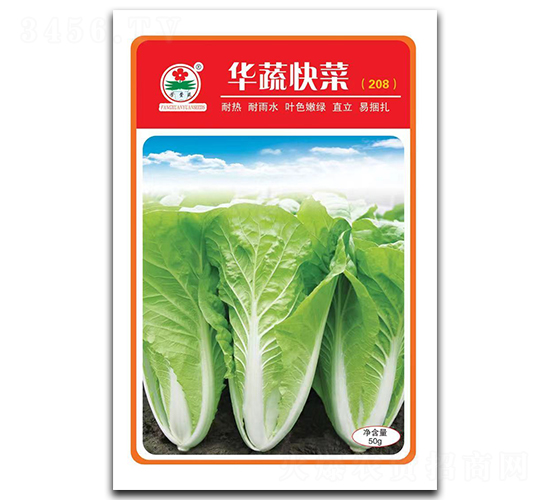 華蔬快菜-快菜種子-華蔬種業