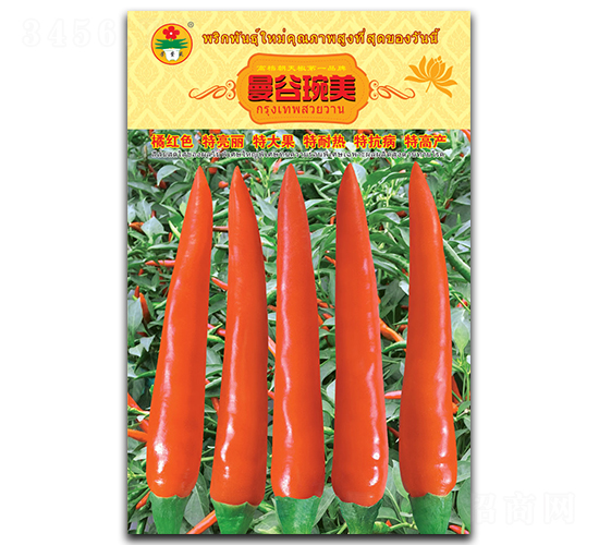 曼谷琬美-朝天椒種子-華蔬種業