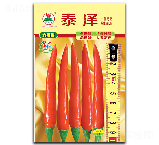 泰澤-朝天椒種子-華蔬種業