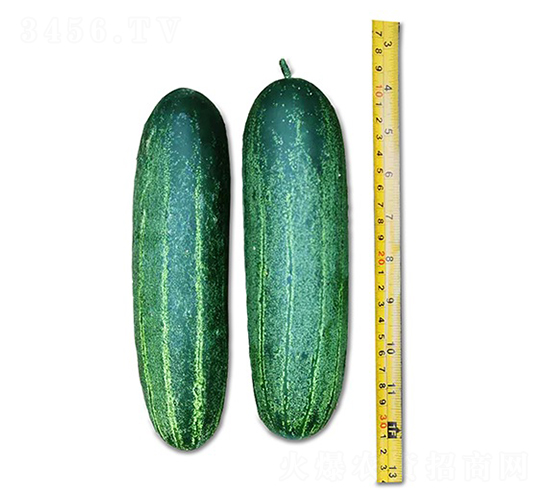 ���S��-�S�ϷN��-혳�