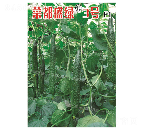 �˶�ʢ�G3̖-�S�ϷN��-�˶��fʢ