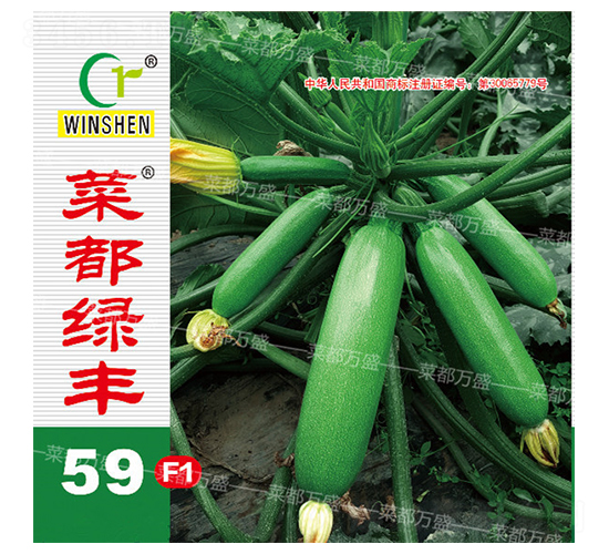 菜都綠豐59-西葫蘆種子-菜都萬盛