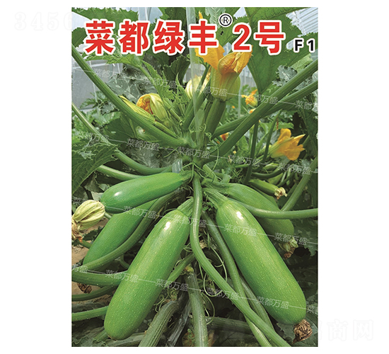 菜都綠豐2號-西葫蘆種子-菜都萬盛