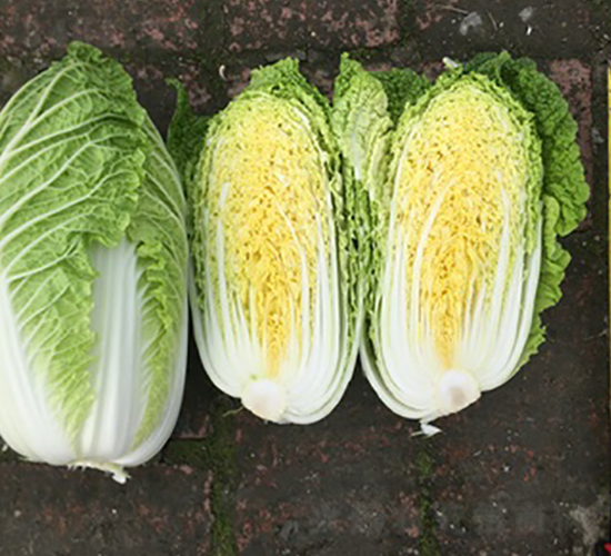 �����O��-��ײ˷N��-���A�N�I