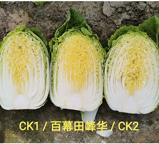 ��Ļ����A-�ײ˷N��-��Ļ��