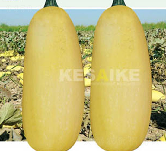 �r(n��ng)�l(f��)��̖-�����J�N��-�wِ�w