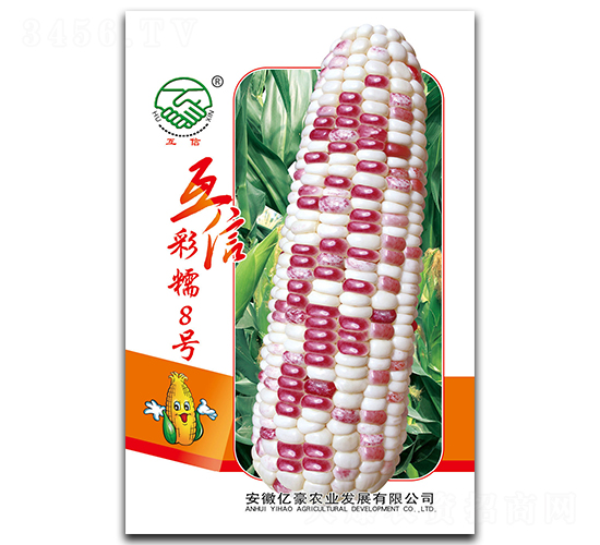 ���Ų�Ŵ8̖-Ŵ���׷N��-�|���r�I