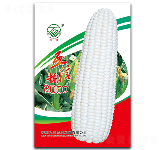 ����Ŵ2000-Ŵ���׷N��-�|���r�I