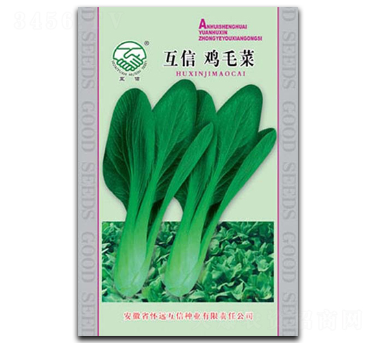 雞毛菜-青菜種子-億豪農(nóng)業(yè)