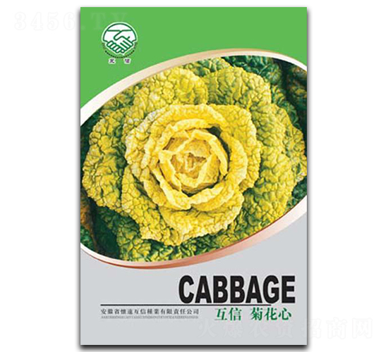 菊花心-青菜種子-億豪農業