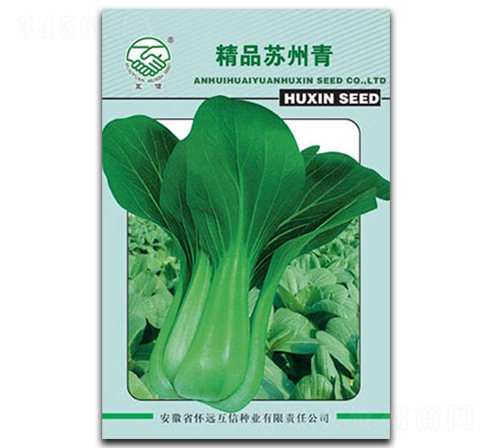 精品蘇州青-青菜種子-億豪農(nóng)業(yè)