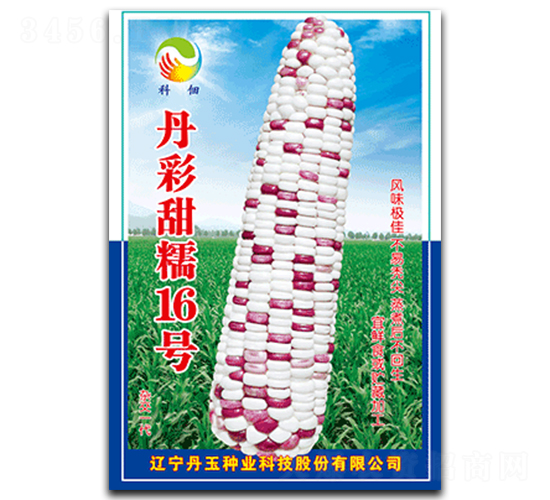 ������Ŵ16̖-Ŵ���׷N��-����N�I