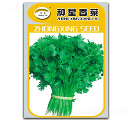 種星香菜-香菜種子-種星種業