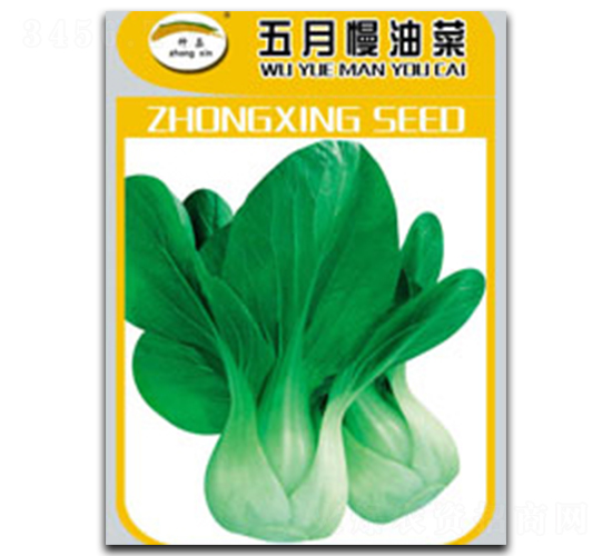 �������Ͳ�-�Ͳ˷N��-�N�ǷN�I