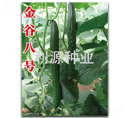 ��Ȱ�̖-�S�ϷN��-��Դ�N�I