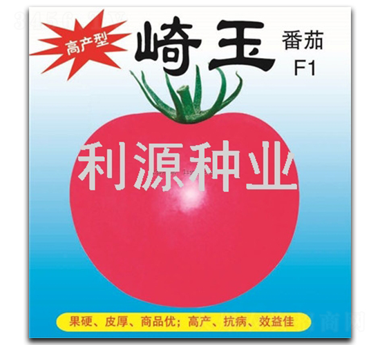 崎玉-番茄種子-利源種業