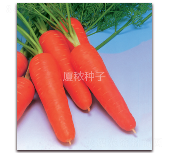 �鸣518-���}���N��-�B���r�I