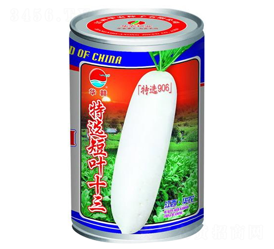 特選短葉十三-白蘿卜種子-華農(nóng)種業(yè)