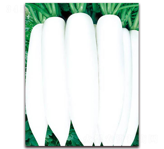 �İ����}��-���}���N��-�A�r�N�I