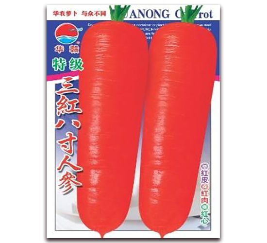 �ؼ����t�˴煢-���}���N��-�A�r�N�I