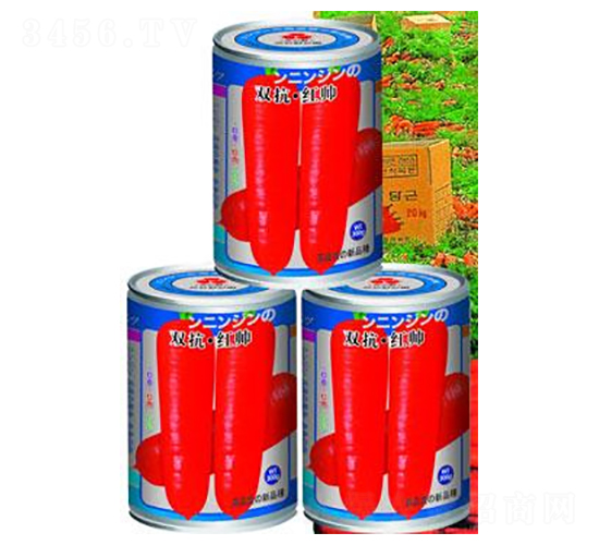 �p�����t��-���}���N��-�A�r�N�I