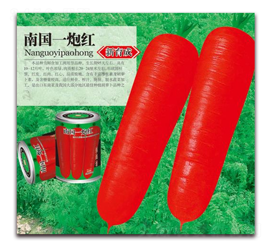 �χ�һ�ڼt-���}���N��-�A�r�N�I