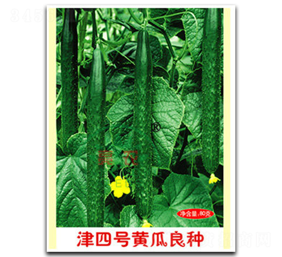 ����̖�S�����N-�S�ϷN��-���r