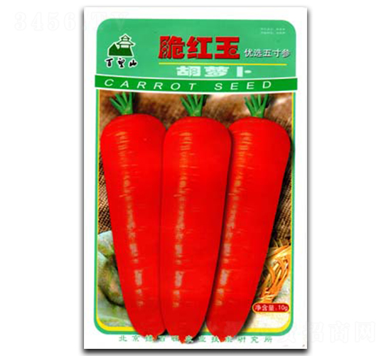 ��t��-�}���N��-�G����