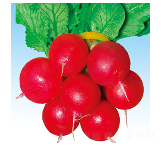 �tˮ��-�}���N��-�G����