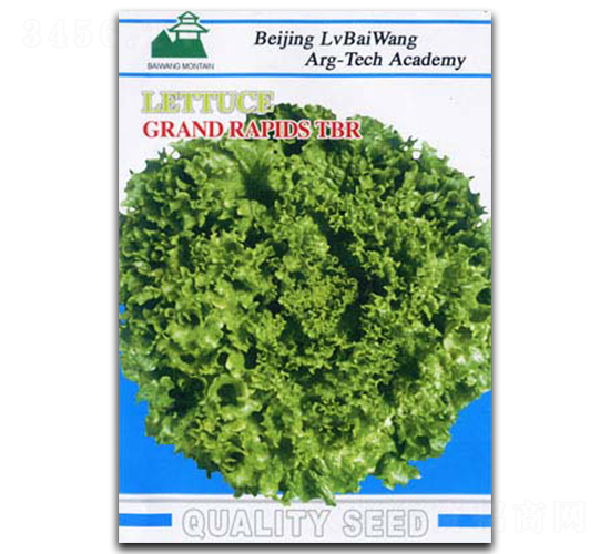 美國大速生-生菜種子-綠百旺