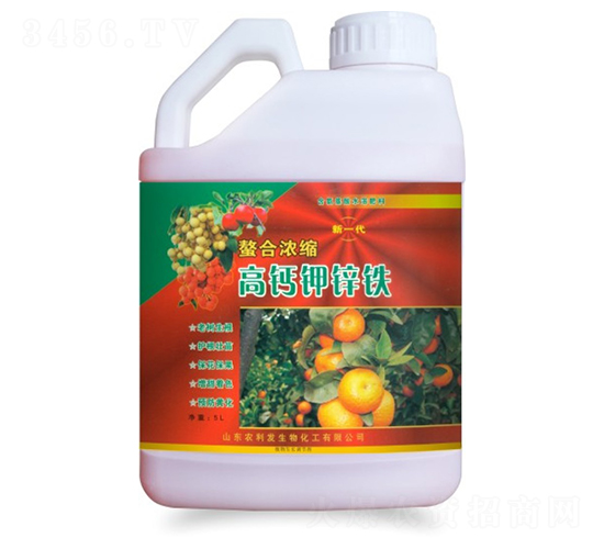 ���ϝ�s���}��\�F-�r���l