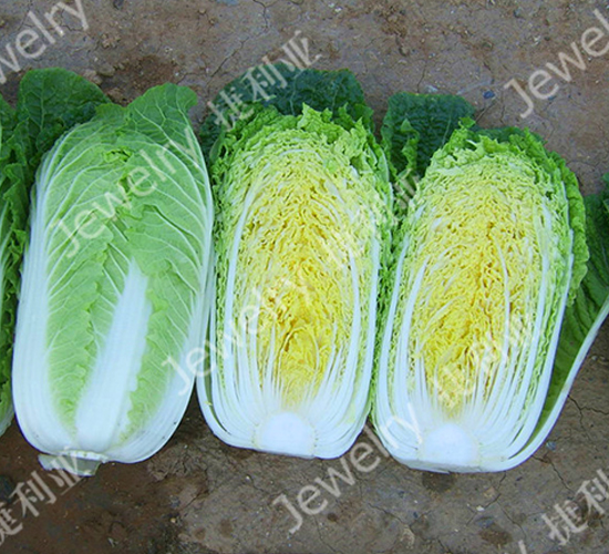 ����֮��-�ײ˷N��-������