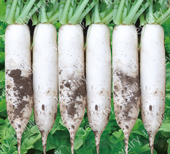 ������711-�}���N��-������