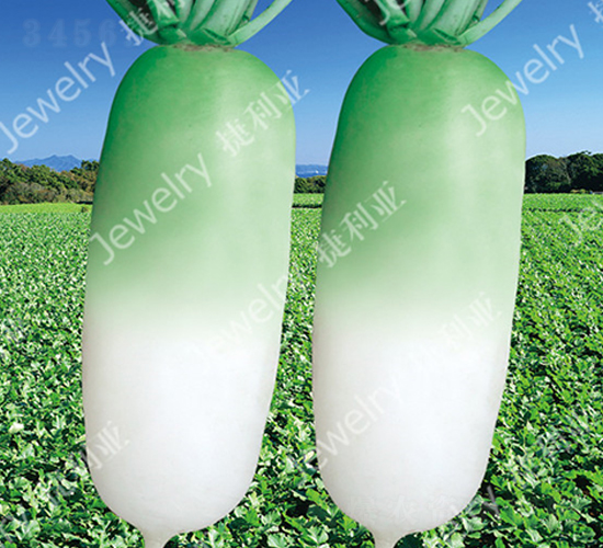 ��G1425-�}���N��-������