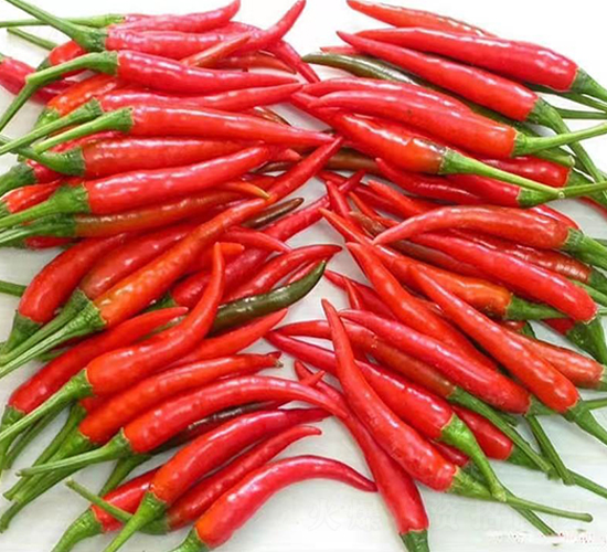 ʥ�r�t��ʯ06���콷-���콷�N��-ʥ�r�߿�