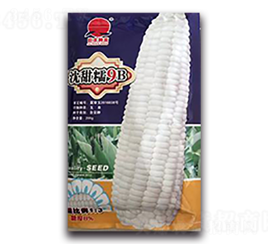 ����Ŵ9B-Ŵ���׷N��-����N��