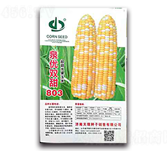 泉優雙甜803-糯玉米種子-天瑞種子